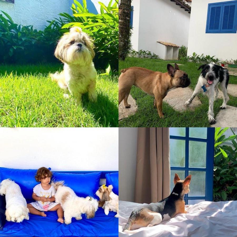 Suites Curta Paraty, Familia E Pets 외부 사진